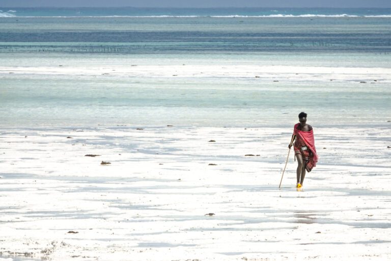 MASAI E LOCAL TANZANIA 2022 (Album fotografico di Susanna Liberatore )