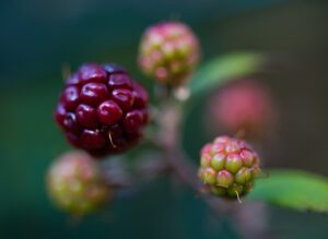 D75_8030