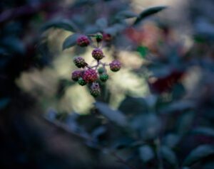 D75_8033
