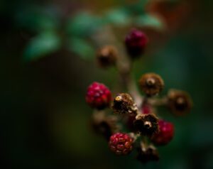 D75_8689