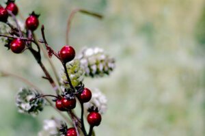 DSC_0031