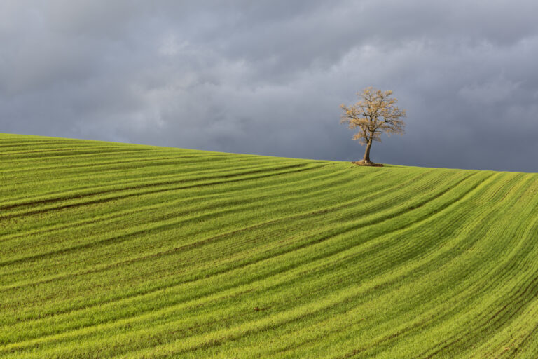 Tra Basilicata e Puglia (foto di Giancarlo Vetrone )