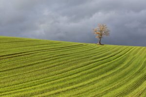 Tra-Basilicata-e-Puglia-59-scaled