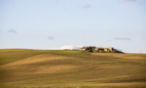 Tra Basilicata e Puglia (92)