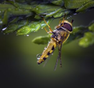 _DSC0163-Edit