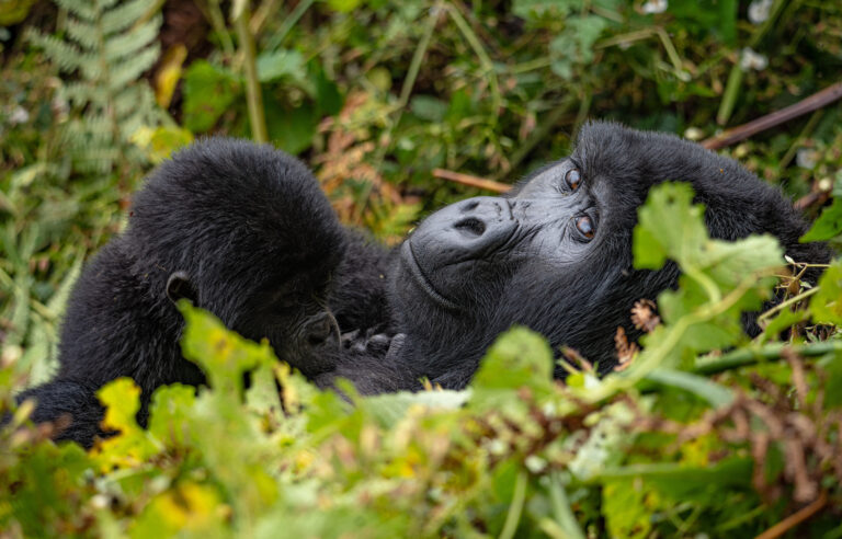 UGANDA 2023 (FOTO Marco Imperato)