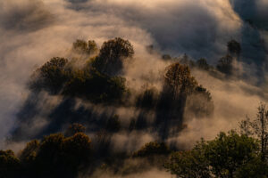 luci e ombre