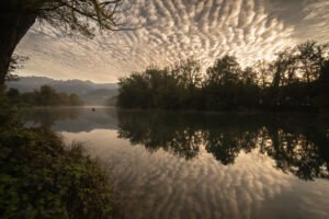 riflessi